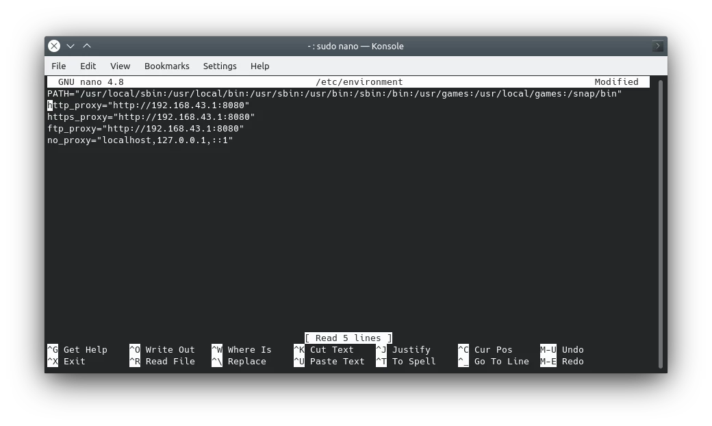 Terminal Display When Setting Proxy Settings