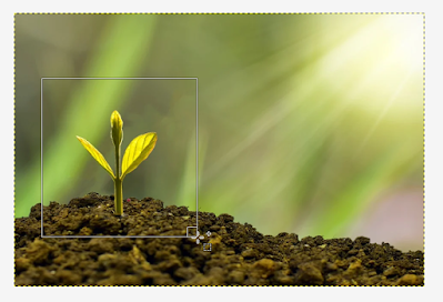 How to Crop an Image With GIMP - Second